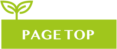 PAGE TOP