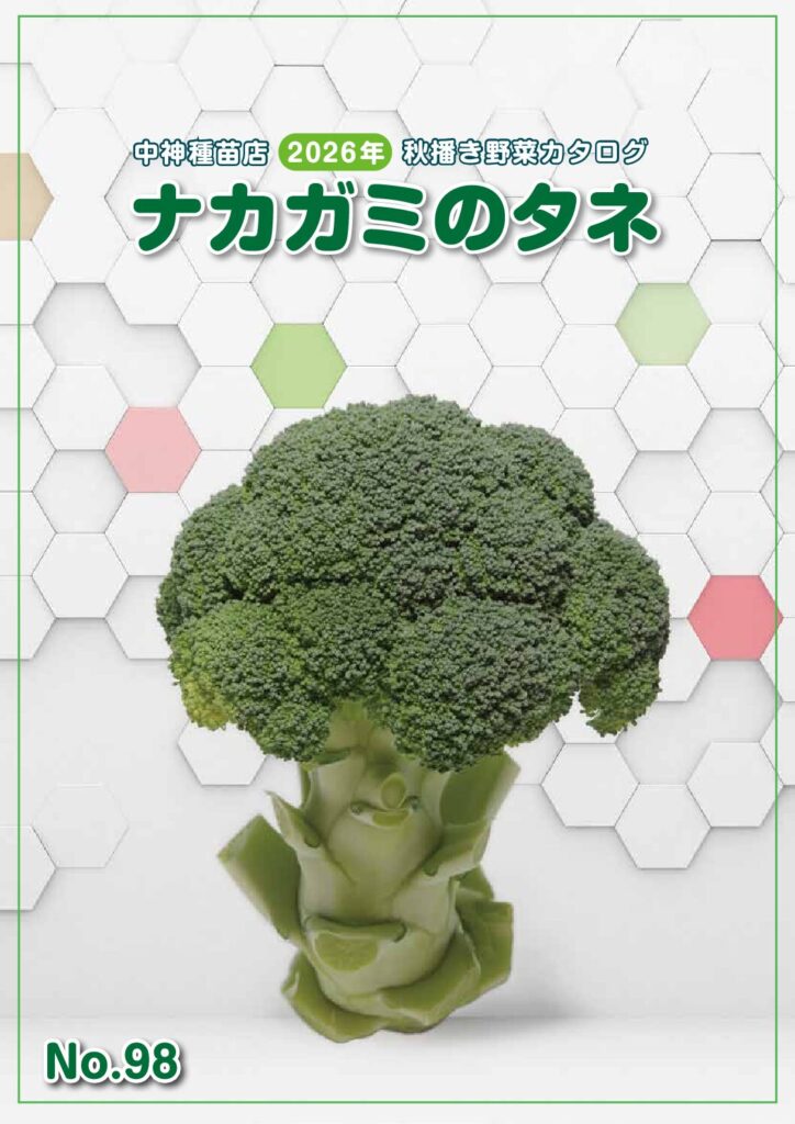 2026年 秋号商品カタログ