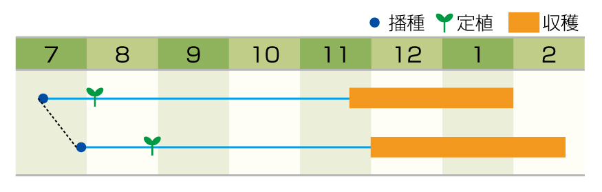 作型表