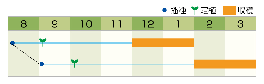 作型表