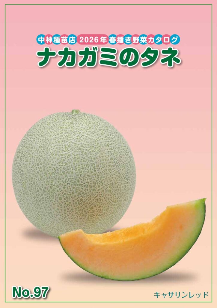 2026年 春号商品カタログ